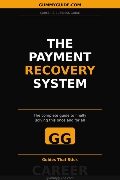 The Payment Recovery System