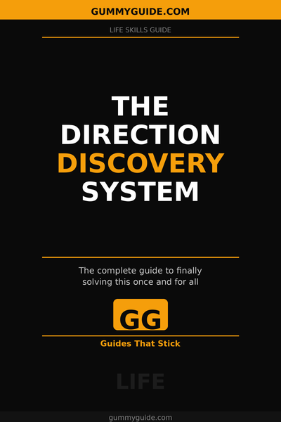 The Direction Discovery System