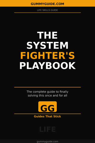The System Fighter's Playbook